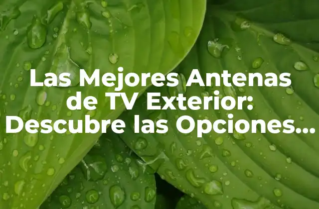 Las Mejores Antenas de Tv Exterior: Descubre las Opciones Más Confiables para una Señal Claro
