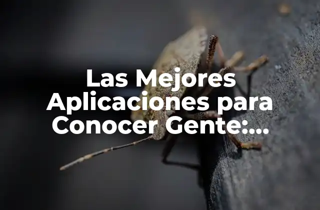 Las Mejores Aplicaciones para Conocer Gente: Encuentra Nuevos Amigos y Conecta con la Comunidad