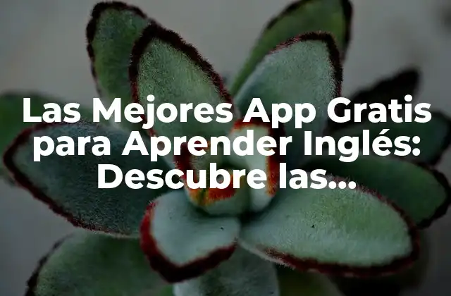 Las Mejores App Gratis para Aprender Inglés: Descubre las Herramientas Más Efectivas