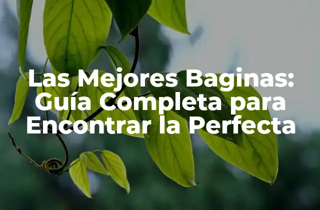 Las Mejores Baginas: Guía Completa para Encontrar la Perfecta