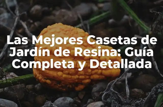 Las Mejores Casetas de Jardín de Resina: Guía Completa y Detallada