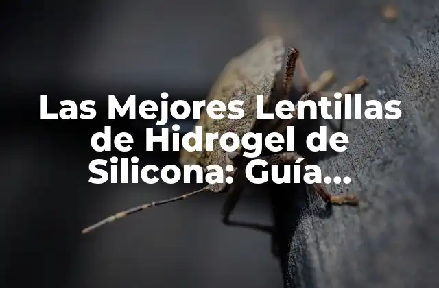 Las Mejores Lentillas de Hidrogel de Silicona: Guía Completa