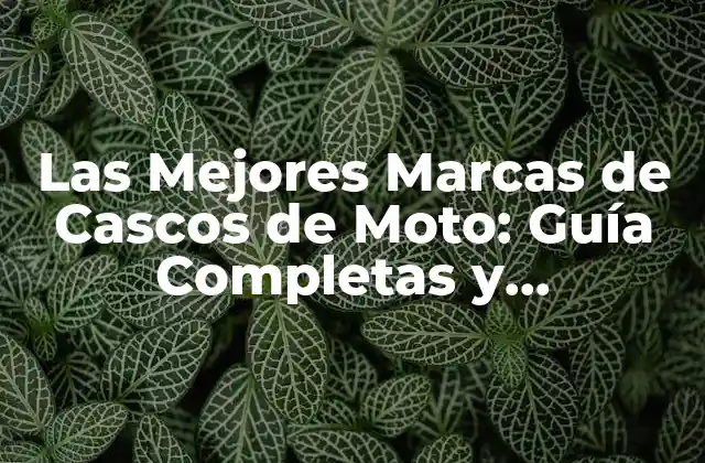 Las Mejores Marcas de Cascos de Moto: Guía Completas y Actualizada (2024)