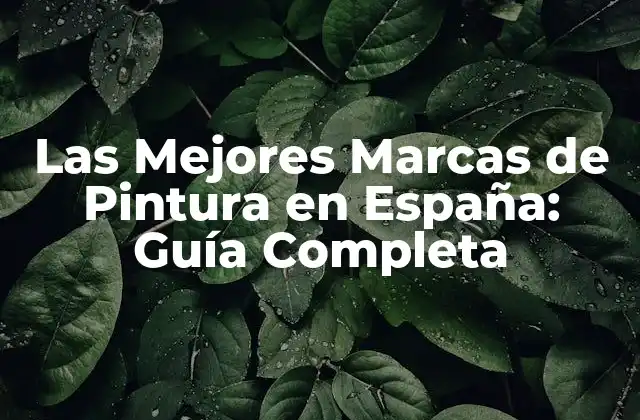Las Mejores Marcas de Pintura en España: Guía Completa