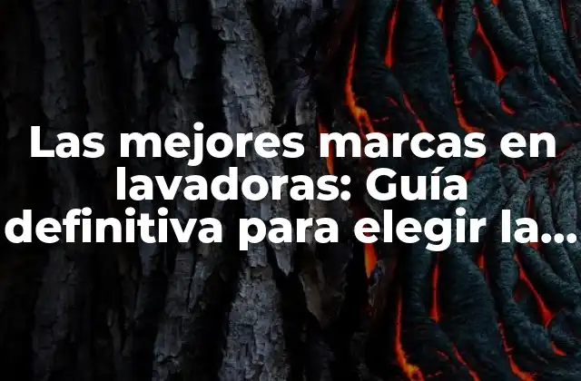 Las Mejores Marcas en Lavadoras: Guía Definitiva para Elegir la Adecuada