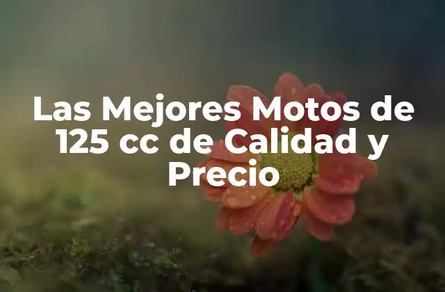 Las Mejores Motos de 125 Cc de Calidad y Precio