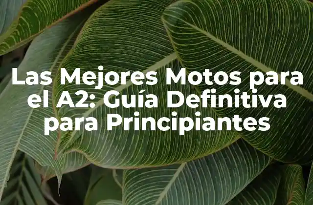 Las Mejores Motos para el A2: Guía Definitiva para Principiantes