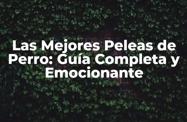 Las Mejores Peleas de Perro: Guía Completa y Emocionante