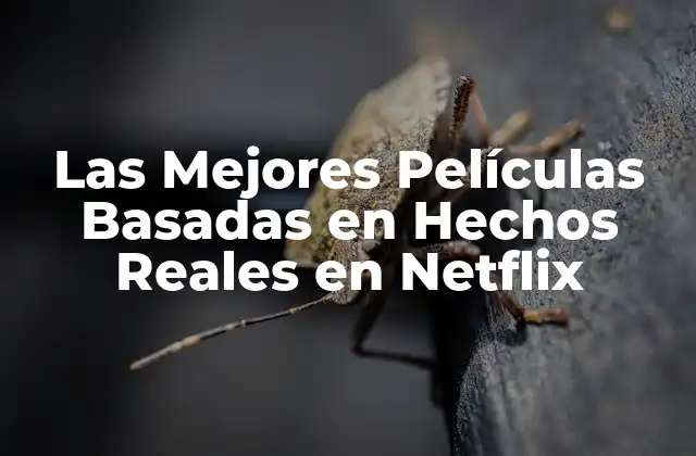 Las Mejores Películas Basadas en Hechos Reales en Netflix