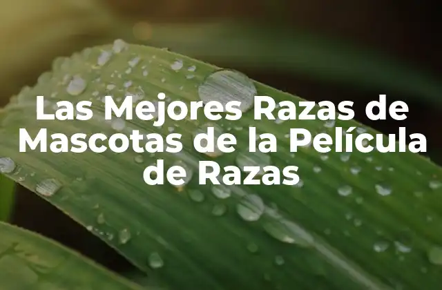 Las Mejores Razas de Mascotas de la Película de Razas