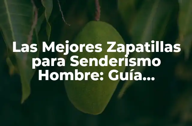 Las Mejores Zapatillas para Senderismo Hombre: Guía Completiva