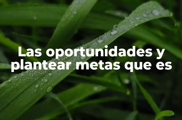 Las Oportunidades y Plantear Metas que es