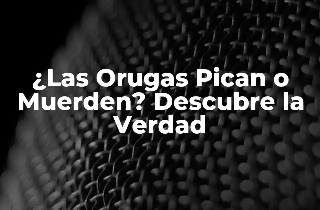¿las Orugas Pican o Muerden? Descubre la Verdad