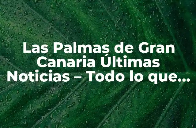 Las Palmas de Gran Canaria Últimas Noticias – Todo Lo que Necesita Saber
