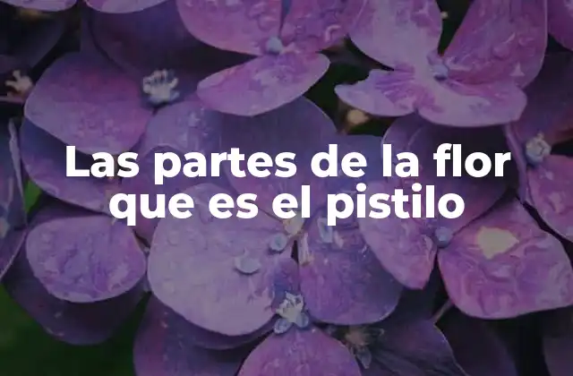 El papel del pistilo en la reproducción vegetal