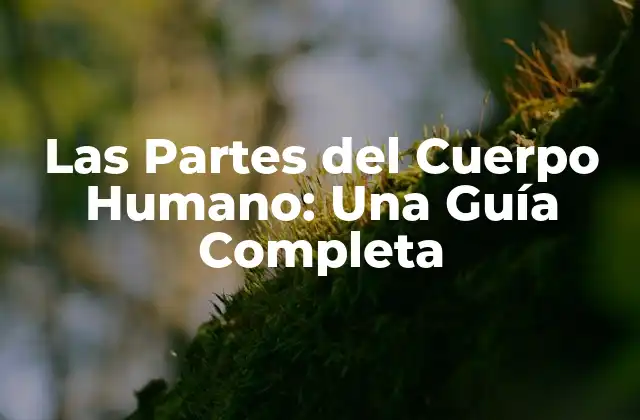 La Cabeza y el Cráneo