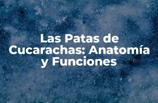 Las Patas de Cucarachas: Anatomía y Funciones