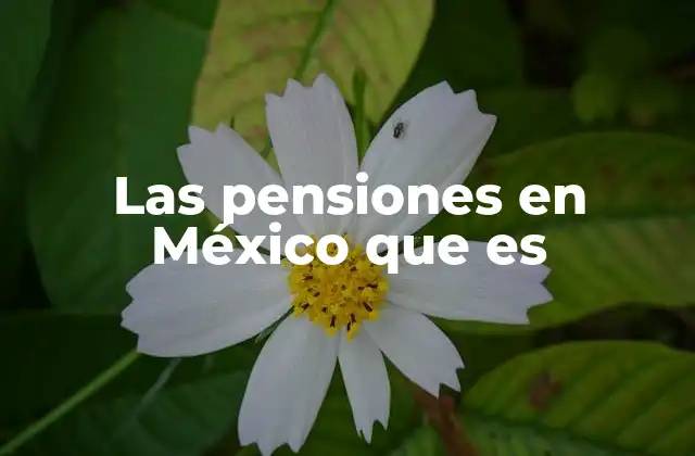 Las Pensiones en México que es