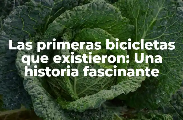 Las Primeras Bicicletas que Existieron: una Historia Fascinante
