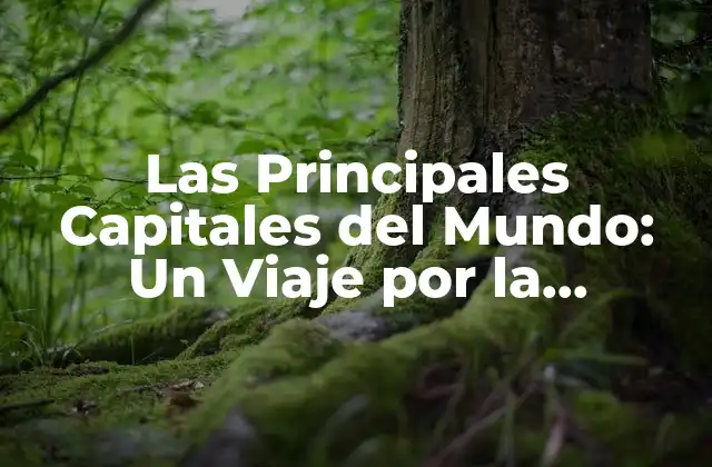 Las Principales Capitales Del Mundo: un Viaje por la Geografía Política