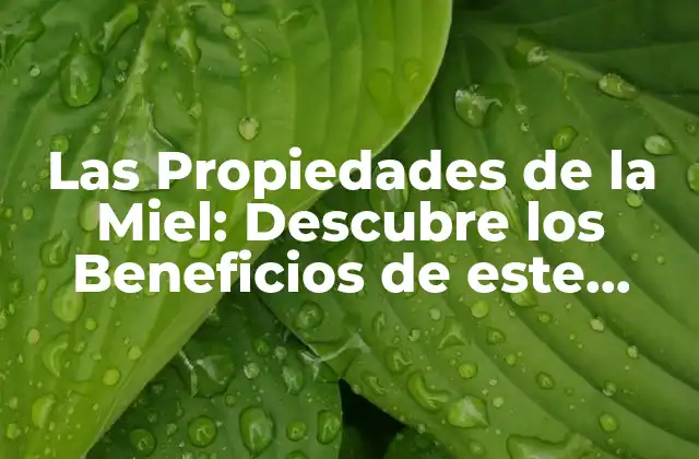 Las Propiedades de la Miel: Descubre los Beneficios de Este Alimento Natural
