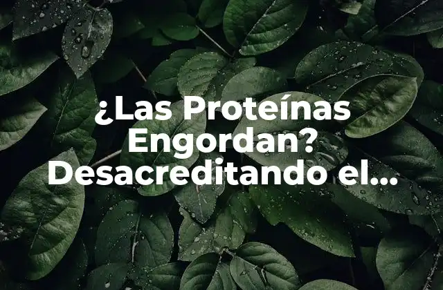 ¿las Proteínas Engordan? Desacreditando el Mitos y Verdades
