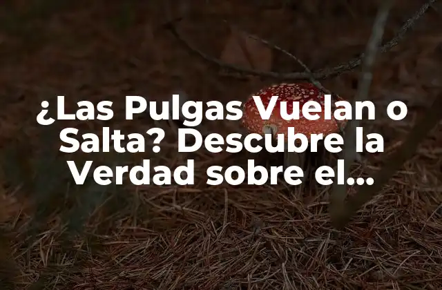 ¿las Pulgas Vuelan o Salta? Descubre la Verdad sobre el Movimiento de las Pulgas