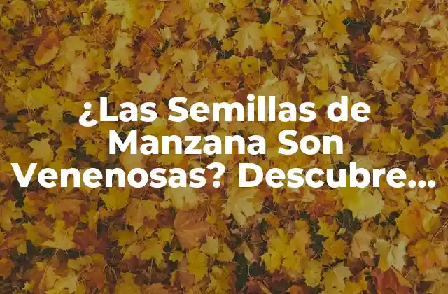 ¿Qué es la Amigdalina y Cómo se Encuentra en las Semillas de Manzana?