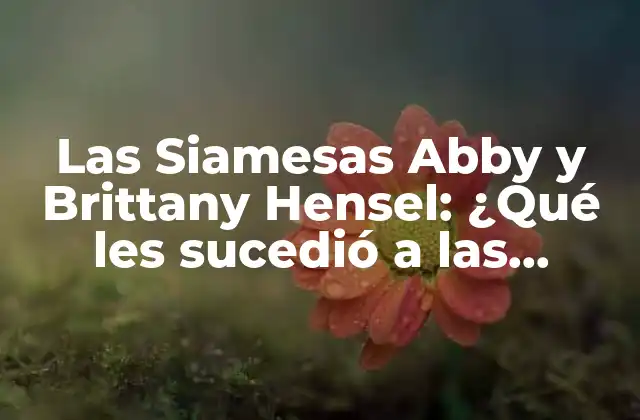 Las Siamesas Abby y Brittany Hensel: ¿qué Les Sucedió a las Gemelas Unidas?