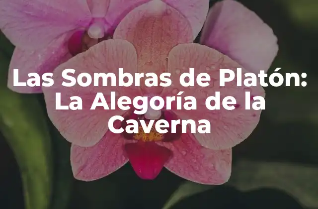Las Sombras de Platón: la Alegoría de la Caverna