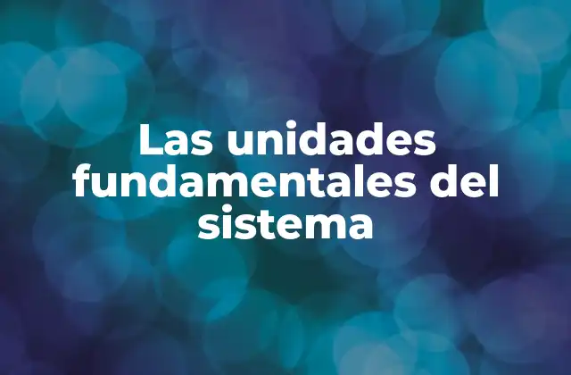 Las Unidades Fundamentales Del Sistema