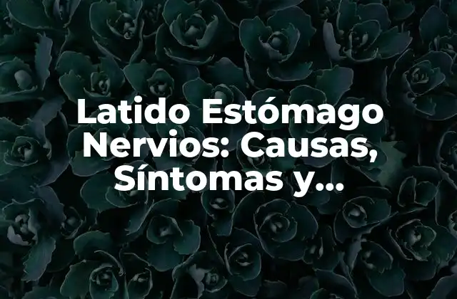 Latido Estómago Nervios: Causas, Síntomas y Tratamientos 2 ¿Qué es el Latido Estómago Nervios?