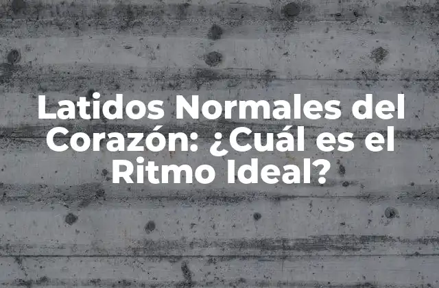 Latidos Normales Del Corazón: ¿cuál es el Ritmo Ideal? 2 ¿Qué es un Ritmo Cardíaco Normal?