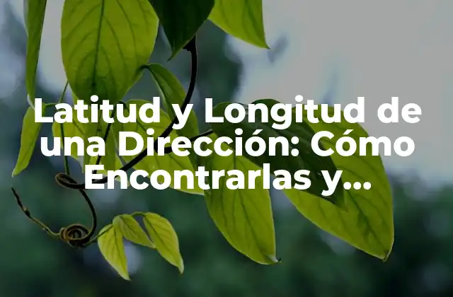 Latitud y Longitud de una Dirección: Cómo Encontrarlas y Utilizarlas
