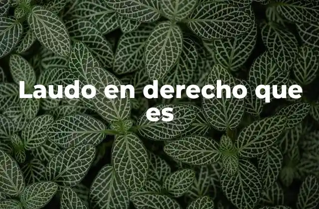 Laudo en Derecho que es