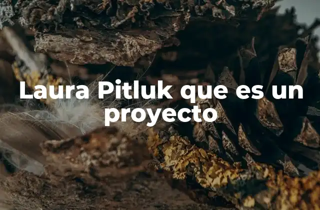 Laura Pitluk que es un Proyecto