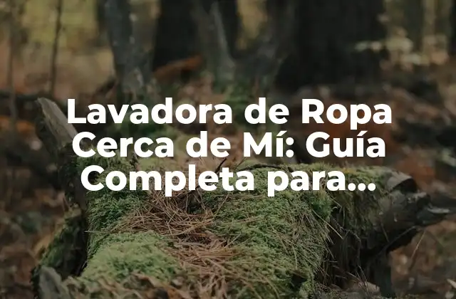 Lavadora de Ropa Cerca de Mí: Guía Completa para Encontrar la Mejor Opción