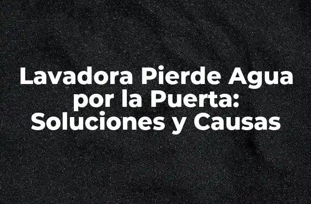 Lavadora Pierde Agua por la Puerta: Soluciones y Causas 2 Causas Comunes de la Lavadora que Pierde Agua por la Puerta
