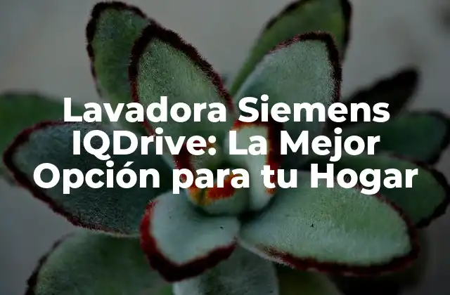 Lavadora Siemens Iqdrive: la Mejor Opción para Tu Hogar 2 ¿Qué es la tecnología IQDrive?