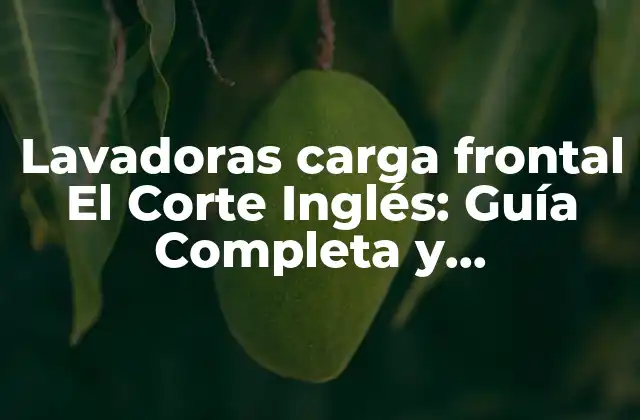Lavadoras Carga Frontal el Corte Inglés: Guía Completa y Comparativa 2 ¿Cuáles son los Beneficios de las Lavadoras Carga Frontal?