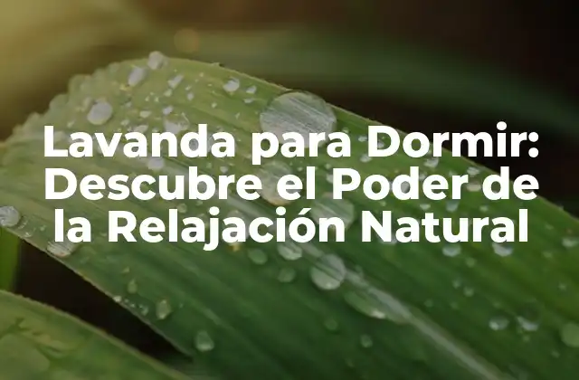 Lavanda para Dormir: Descubre el Poder de la Relajación Natural