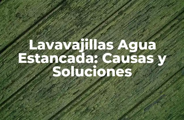 Lavavajillas Agua Estancada: Causas y Soluciones 2 ¿Por qué se produce agua estancada en el lavavajillas?