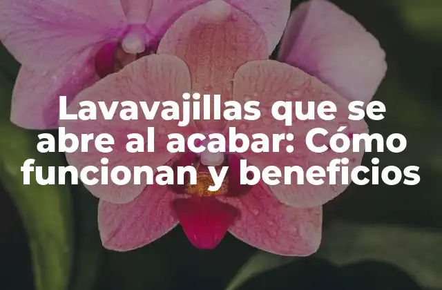 Lavavajillas que Se Abre Al Acabar: Cómo Funcionan y Beneficios
