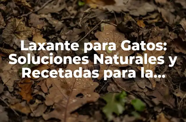 Laxante para Gatos: Soluciones Naturales y Recetadas para la Constipación Felina