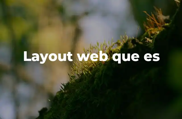 Layout Web que es