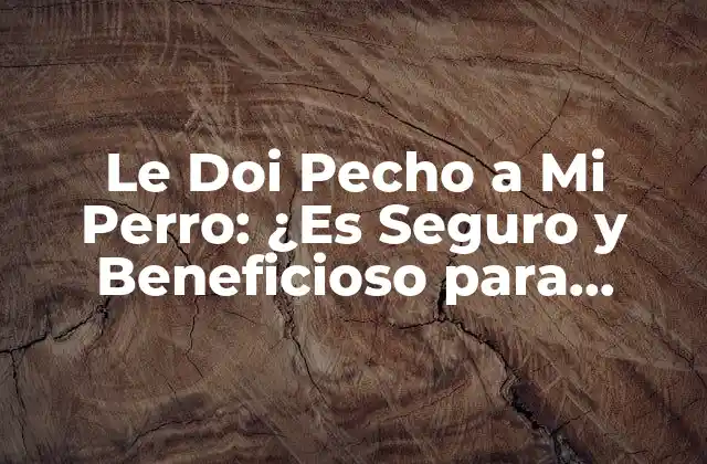 Le Doi Pecho a Mi Perro: ¿es Seguro y Beneficioso para Ambos?