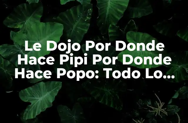 Le Dojo por Donde Hace Pipi por Donde Hace Popo: Todo Lo que Necesitas Saber