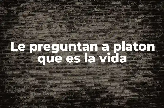 Le Preguntan a Platon que es la Vida 2 La búsqueda del sentido en la filosofía platónica