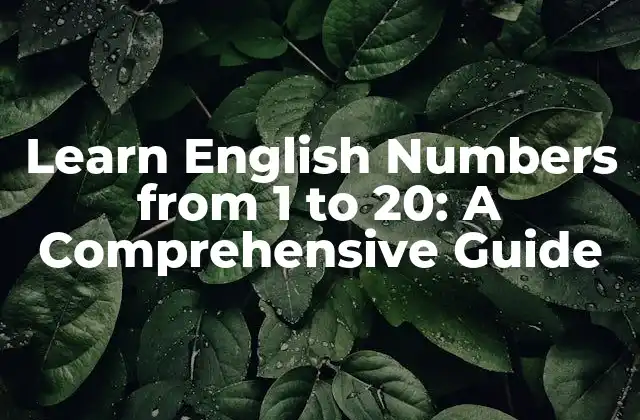 Learn English Numbers From 1 To 20: a Comprehensive Guide