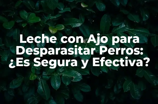 Leche con Ajo para Desparasitar Perros: ¿es Segura y Efectiva? 2 ¿Cómo Funciona la Leche con Ajo para Desparasitar?